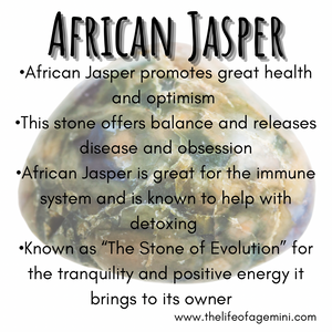 7.2” Virgo Life Bracelet - African Jasper with bronze accents and Virgo charm